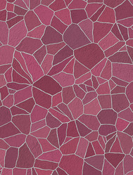 Similar image 5558500