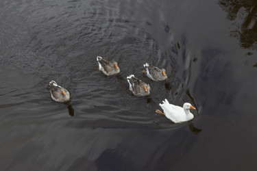 Similar image 5558507