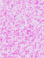 Similar image 5558534