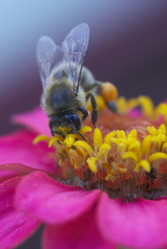 Similar image 5559276