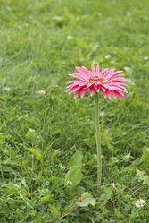 Similar image 5559277