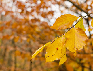 Similar image 5559662