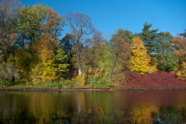 Similar image 5559682