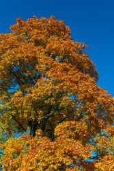 Similar image 5559695