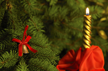 Similar image 5559696