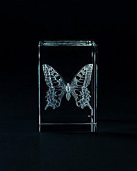 Similar image 5559843