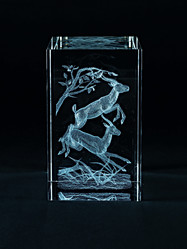 Similar image 5559846