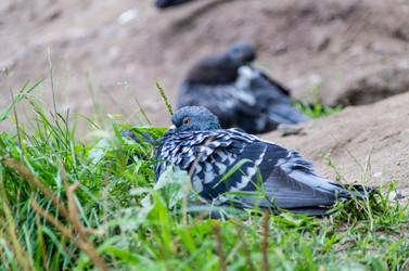 Similar image 5559893