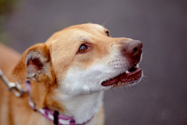 Similar image 5559949