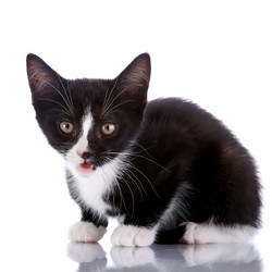 Similar image 5559954