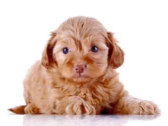 Similar image 5559964