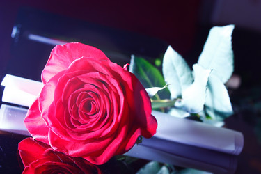 Similar image 5560016