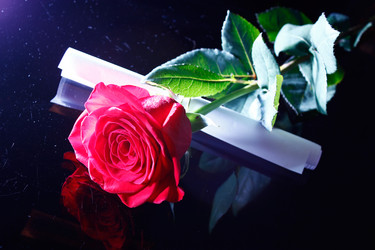 Similar image 5560017