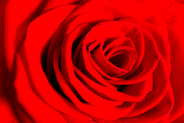 Similar image 5560027