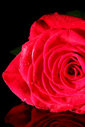 Similar image 5560033