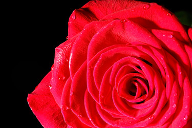 Similar image 5560048