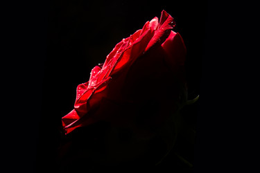 Similar image 5560049