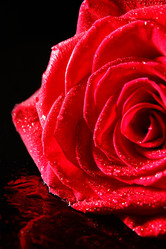 Similar image 5560052