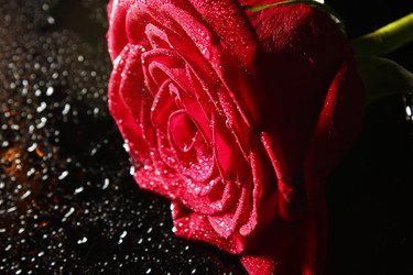 Similar image 5560053