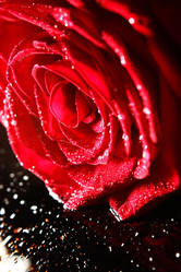 Similar image 5560058