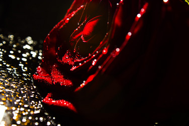 Similar image 5560059