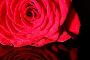 Similar image 5560060