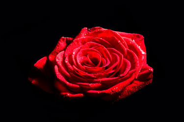 Similar image 5560061