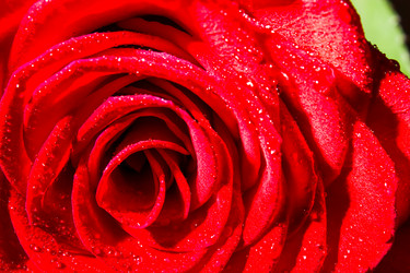 Similar image 5560063