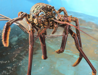 Similar image 5560064