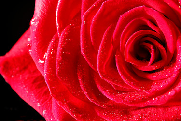 Similar image 5560069