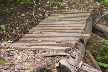 Similar image 5560068