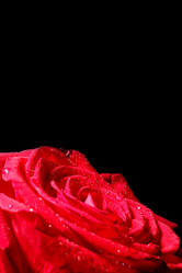 Similar image 5560071