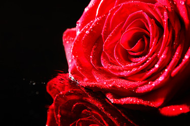 Similar image 5560074