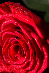 Similar image 5560075