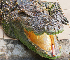 Similar image 5560081