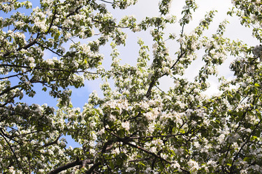 Similar image 5560083