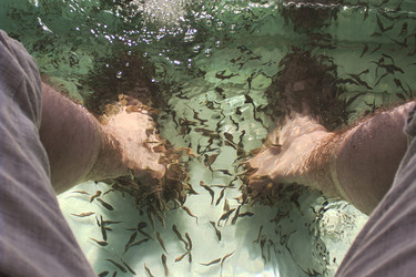 Similar image 5560114