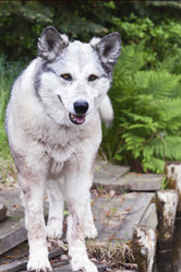 Similar image 5560122