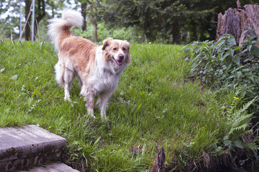 Similar image 5560123