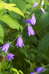 Similar image 5560166