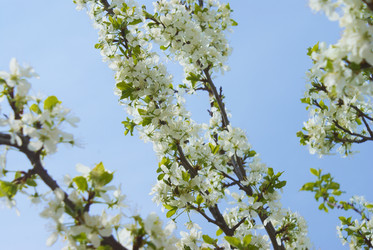 Similar image 5560168