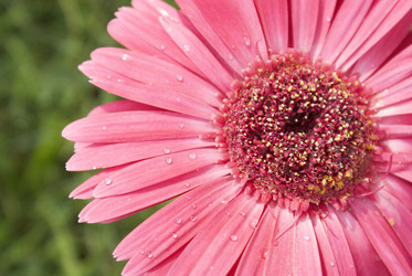 Similar image 5560169