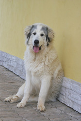 Similar image 5560170