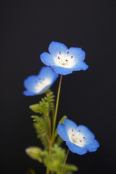 Similar image 5560172