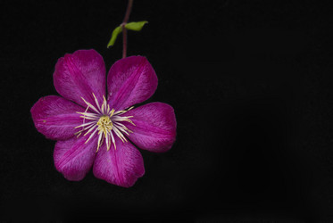 Similar image 5560174