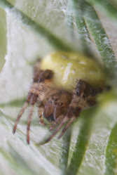 Similar image 5560175