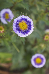 Similar image 5560177