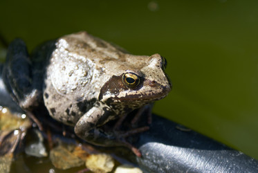 Similar image 5560178