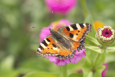 Similar image 5560180