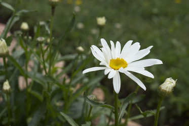 Similar image 5560181